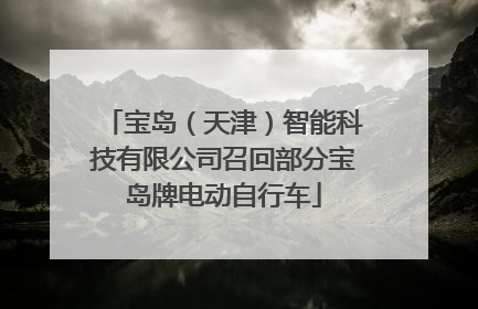 宝岛（天津）智能科技有限公司召回部分宝岛牌电动自行车