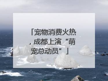 宠物消费火热，成都上演“萌宠总动员”