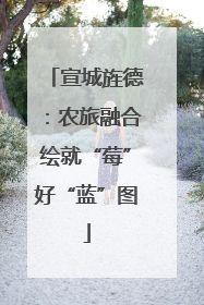 宣城旌德：农旅融合绘就“莓”好“蓝”图