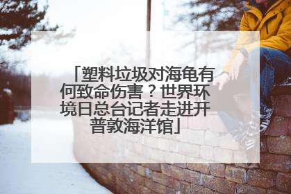 塑料垃圾对海龟有何致命伤害？世界环境日总台记者走进开普敦海洋馆