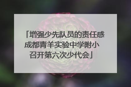 增强少先队员的责任感 成都青羊实验中学附小召开第六次少代会