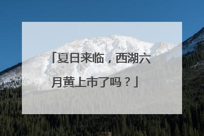 夏日来临，西湖六月黄上市了吗？