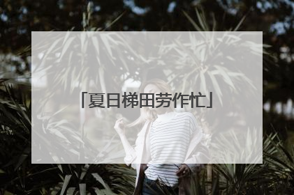 夏日梯田劳作忙
