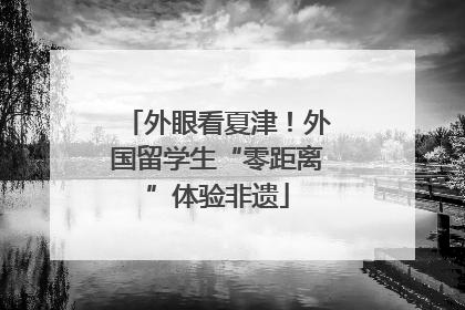 外眼看夏津！外国留学生“零距离”体验非遗