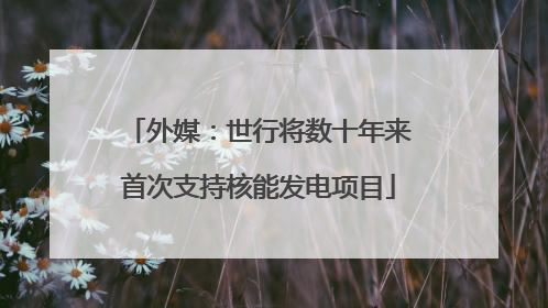外媒：世行将数十年来首次支持核能发电项目