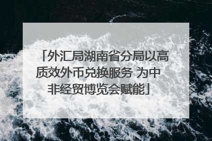 外汇局湖南省分局以高质效外币兑换服务 为中非经贸博览会赋能