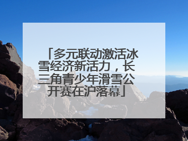 多元联动激活冰雪经济新活力，长三角青少年滑雪公开赛在沪落幕