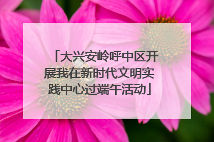 大兴安岭呼中区开展我在新时代文明实践中心过端午活动