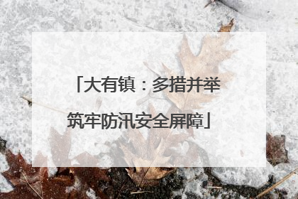 大有镇：多措并举筑牢防汛安全屏障