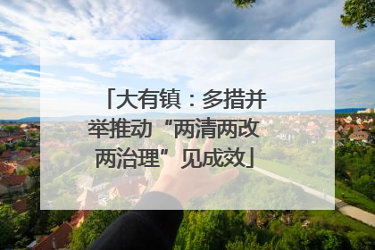 大有镇：多措并举推动“两清两改两治理”见成效