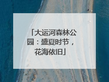 大运河森林公园：盛夏时节，花海依旧