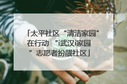 太平社区“清洁家园”在行动 “i武汉i家园”志愿者扮靓社区