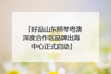 好品山东横琴粤澳深度合作区品牌出海中心正式启动
