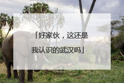 好家伙，这还是我认识的武汉吗