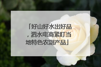 好山好水出好品，泗水电商紧盯当地特色农副产品