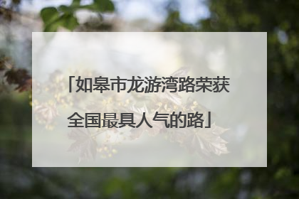 如皋市龙游湾路荣获全国最具人气的路