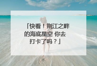 快看！荆江之畔的海底星空 你去打卡了吗？