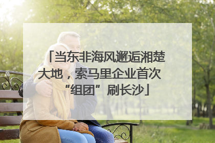 当东非海风邂逅湘楚大地，索马里企业首次“组团”刷长沙