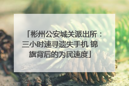 彬州公安城关派出所：三小时速寻遗失手机 锦旗背后的为民速度