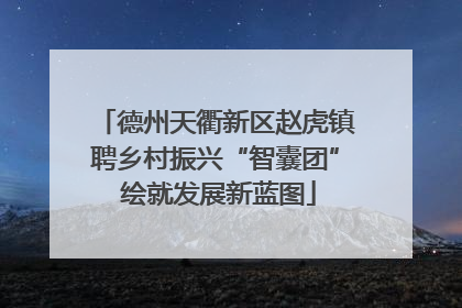 德州天衢新区赵虎镇聘乡村振兴“智囊团” 绘就发展新蓝图