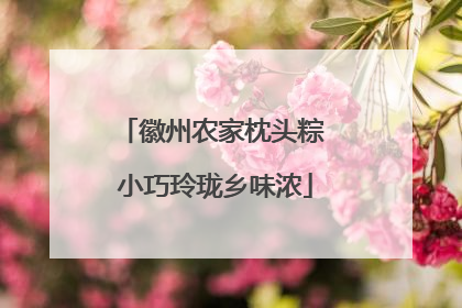徽州农家枕头粽 小巧玲珑乡味浓