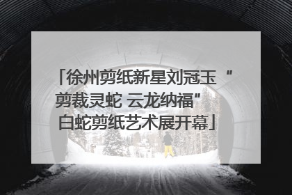 徐州剪纸新星刘冠玉“剪裁灵蛇 云龙纳福” 白蛇剪纸艺术展开幕