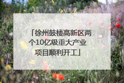 徐州鼓楼高新区两个10亿级重大产业项目顺利开工