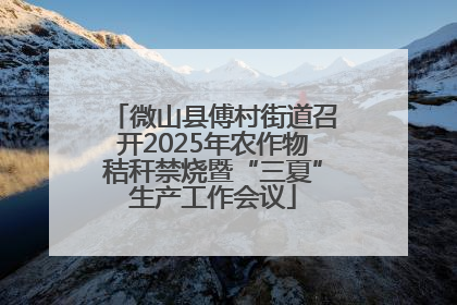 微山县傅村街道召开2025年农作物秸秆禁烧暨“三夏”生产工作会议