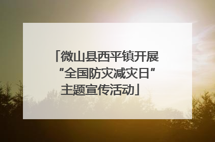 微山县西平镇开展“全国防灾减灾日”主题宣传活动