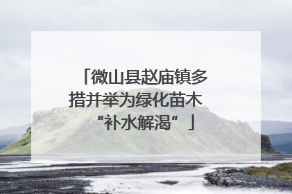 微山县赵庙镇多措并举为绿化苗木“补水解渴”