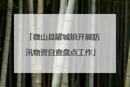 微山县驩城镇开展防汛物资自查盘点工作