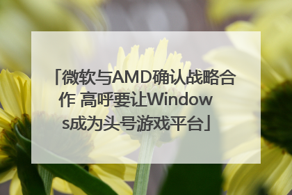 微软与AMD确认战略合作 高呼要让Windows成为头号游戏平台