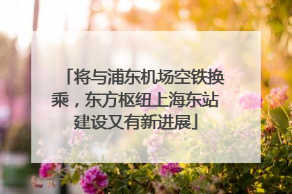 将与浦东机场空铁换乘，东方枢纽上海东站建设又有新进展