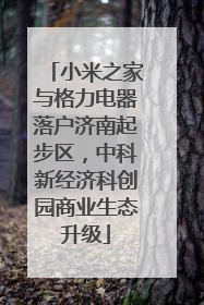小米之家与格力电器落户济南起步区，中科新经济科创园商业生态升级