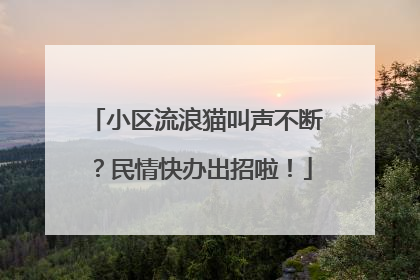 小区流浪猫叫声不断？民情快办出招啦！
