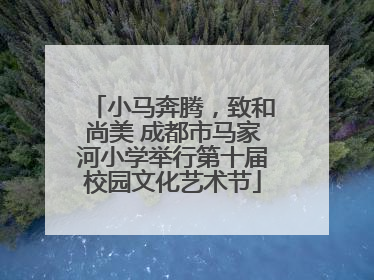 小马奔腾，致和尚美 成都市马家河小学举行第十届校园文化艺术节