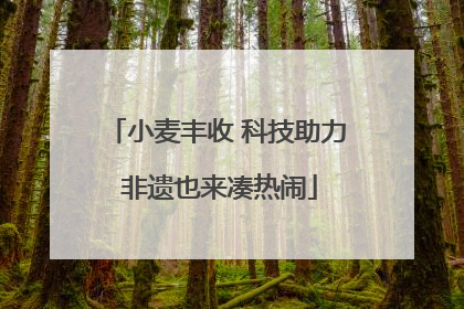 小麦丰收 科技助力 非遗也来凑热闹