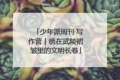 少年派周刊·写作营｜绣在武陵褶皱里的文明长卷