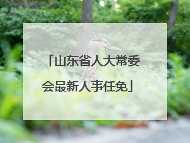 山东省人大常委会最新人事任免