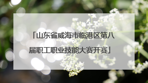 山东省威海市临港区第八届职工职业技能大赛开赛