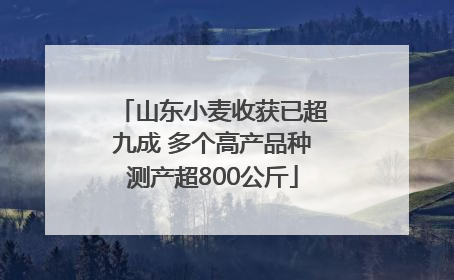 山东小麦收获已超九成 多个高产品种测产超800公斤