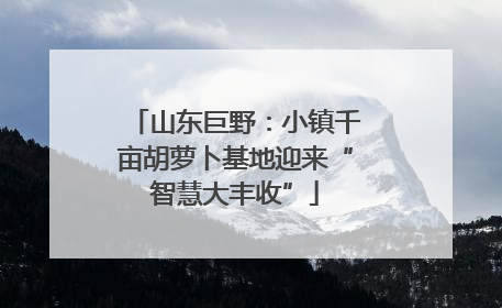山东巨野：小镇千亩胡萝卜基地迎来“智慧大丰收”