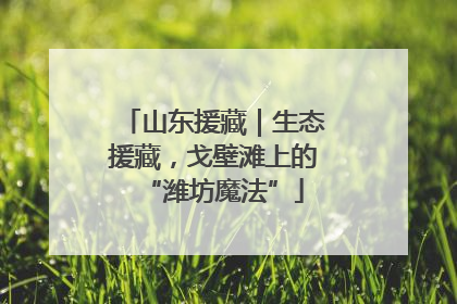 山东援藏｜生态援藏，戈壁滩上的“潍坊魔法”