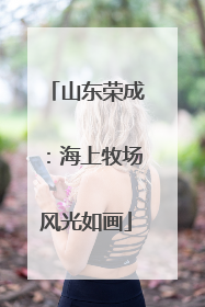山东荣成：海上牧场风光如画