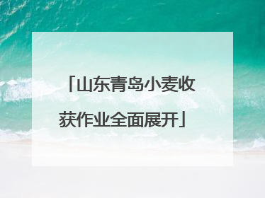 山东青岛小麦收获作业全面展开