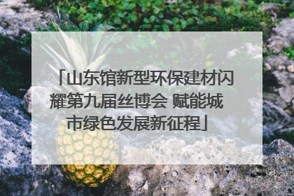 山东馆新型环保建材闪耀第九届丝博会 赋能城市绿色发展新征程