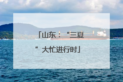山东：“三夏”大忙进行时