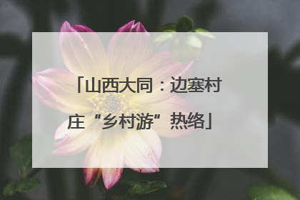 山西大同：边塞村庄“乡村游”热络