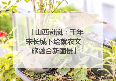 山西岢岚：千年宋长城下绘就农文旅融合新图景