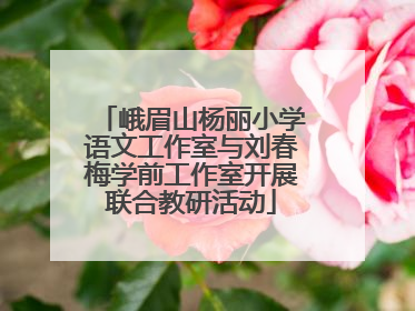 峨眉山杨丽小学语文工作室与刘春梅学前工作室开展联合教研活动
